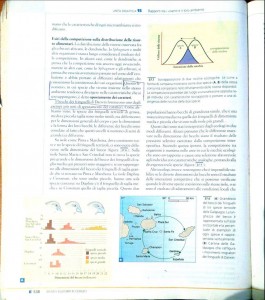 posizionamento di mercato spiegato con il concetto di nicchia ecologica