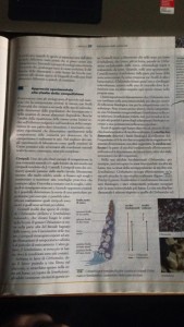 nicchia fondamentale e nicchia realizzata - l'importanza di controllare i competitor per posizionarsi nel mercato