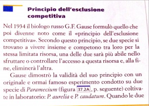 Principio dell'esclusione competitiva - cosa c' entra con il processo di posizionamento